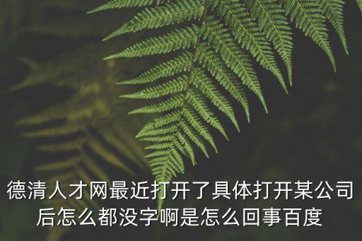 德清人才網最近打開了具體打開某公司后怎么都沒字啊是怎么回事百度
