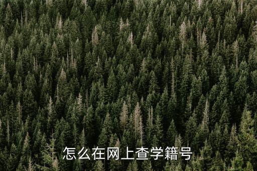 怎么在網上查學籍號
