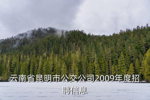 云南省昆明市公交公司2009年度招聘信息