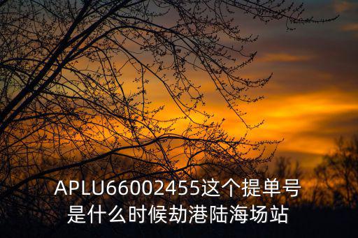 APLU66002455這個提單號是什么時候劫港陸海場站