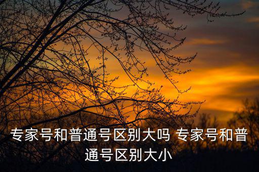 專家號，專家號是什么醫生為你看病