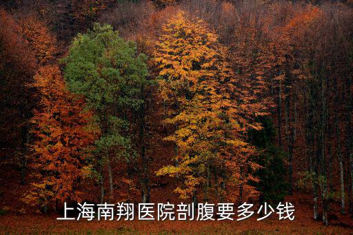上海南翔醫院，上海南翔醫院剖腹要多少錢