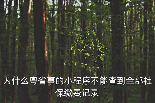 為什么粵省事的小程序不能查到全部社保繳費記錄
