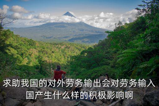 對外勞務，國內對外勞務輸出的政策