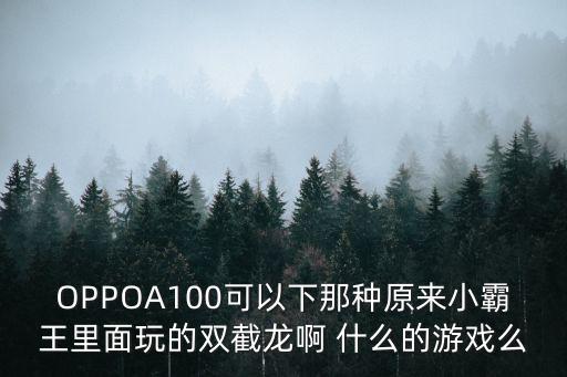 OPPOA100可以下那種原來小霸王里面玩的雙截龍啊 什么的游戲么