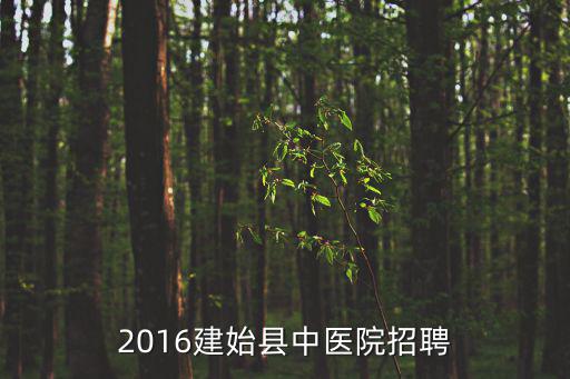 2016建始縣中醫院招聘