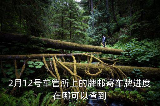 車牌郵寄查詢，車牌寄過來怎么查詢