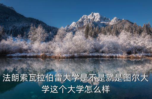 法朗索瓦拉伯雷大學是不是就是圖爾大學這個大學怎么樣