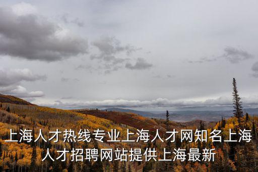 上海人才熱線專業上海人才網知名上海人才招聘網站提供上海最新
