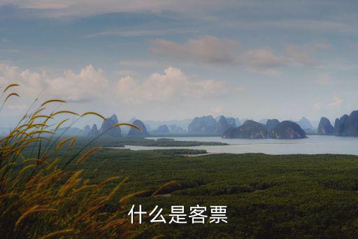 客票，什么是客票