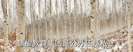 贛榆教育，贛榆教育集團是公辦還是私立