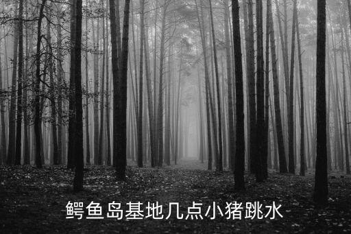 鱷魚島基地幾點(diǎn)小豬跳水