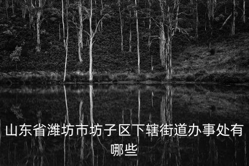 山東省濰坊市坊子區下轄街道辦事處有哪些