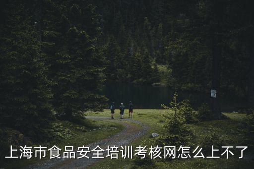 上海市食品安全培訓考核網怎么上不了