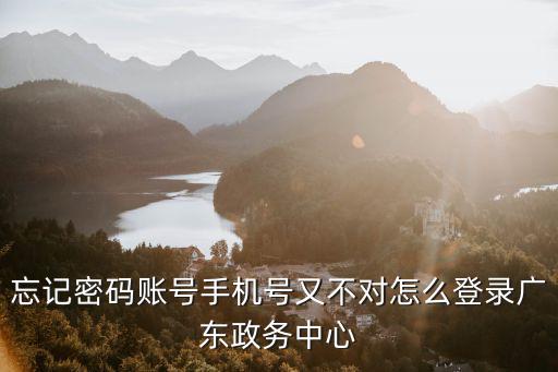 忘記密碼賬號手機號又不對怎么登錄廣東政務中心