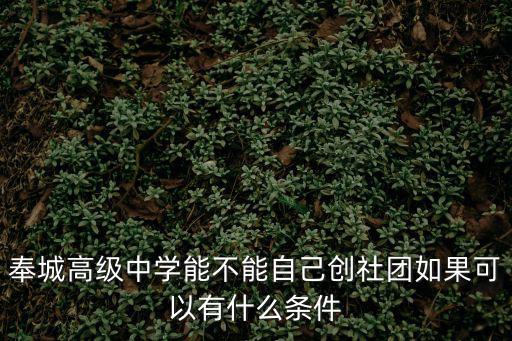 奉城高級中學能不能自己創社團如果可以有什么條件