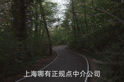 上海哪有正規點中介公司