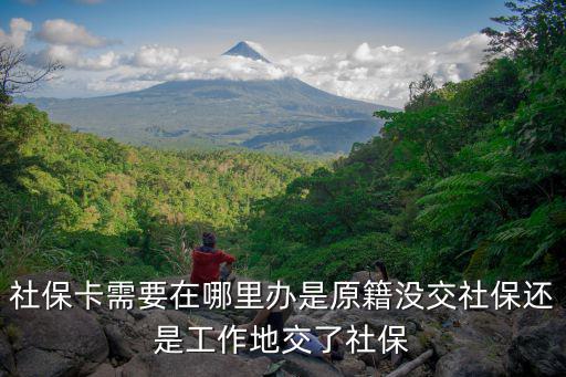 社保卡去哪里辦，社保卡在哪里拿