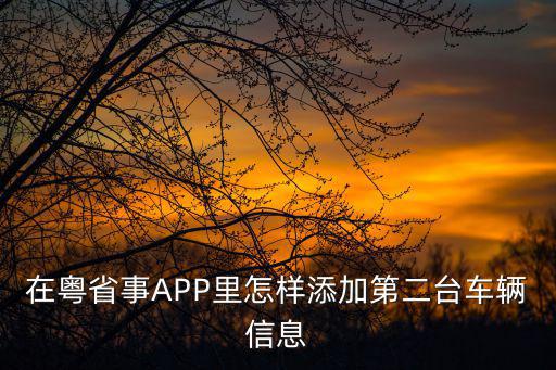 在粵省事APP里怎樣添加第二臺車輛信息