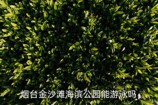 煙臺金沙灘海濱公園能游泳嗎