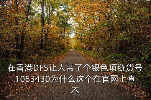 在香港DFS讓人帶了個銀色項鏈貨號1053430為什么這個在官網上查不