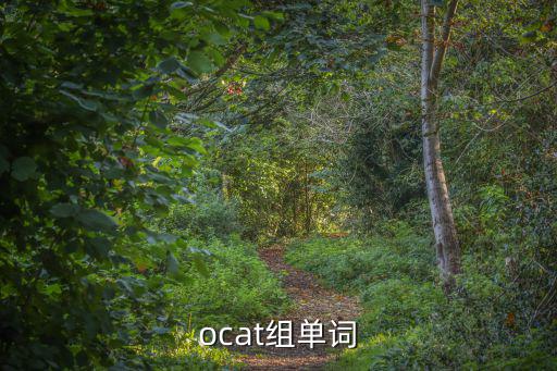 ocat組單詞