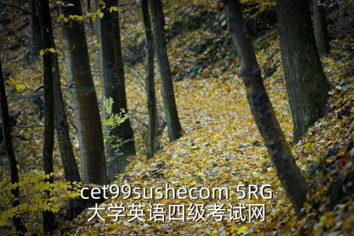 cet99sushecom 5RG大學(xué)英語(yǔ)四級(jí)考試網(wǎng)