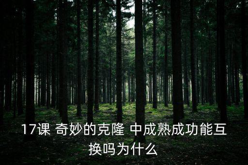 17課 奇妙的克隆 中成熟成功能互換嗎為什么