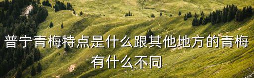普寧青梅特點是什么跟其他地方的青梅有什么不同