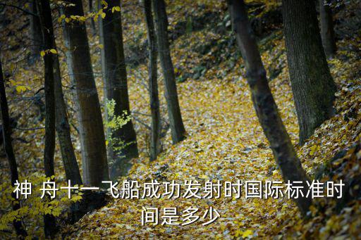 神 舟十一飛船成功發(fā)射時(shí)國(guó)際標(biāo)準(zhǔn)時(shí)間是多少