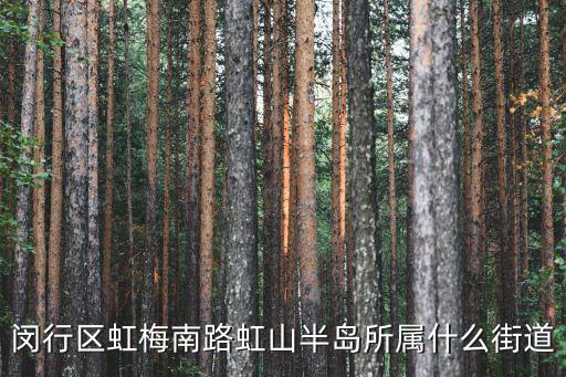 虹山半島，上海虹梅南路2277號是什么地方
