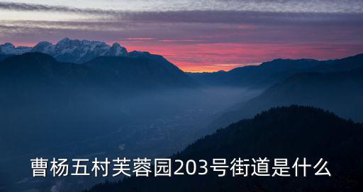 曹楊五村，曹楊五村芙蓉園203號街道是什么