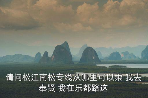 請問松江南松專線從哪里可以乘 我去奉賢 我在樂都路這