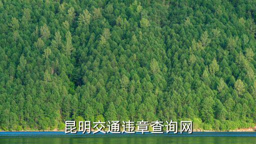 機動車違章查詢，昆明交通違章查詢網
