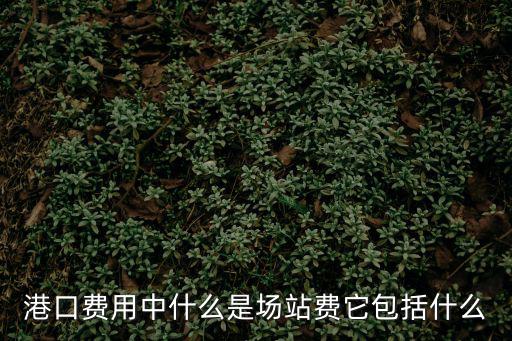 港口費用中什么是場站費它包括什么