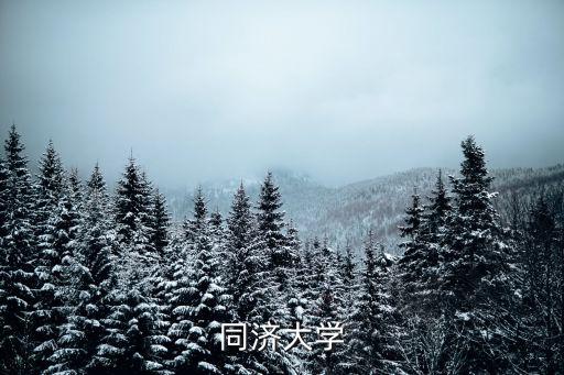同濟(jì)大學(xué)官網(wǎng)，同濟(jì)大學(xué)