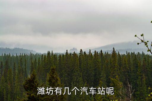 濰坊有幾個汽車站呢