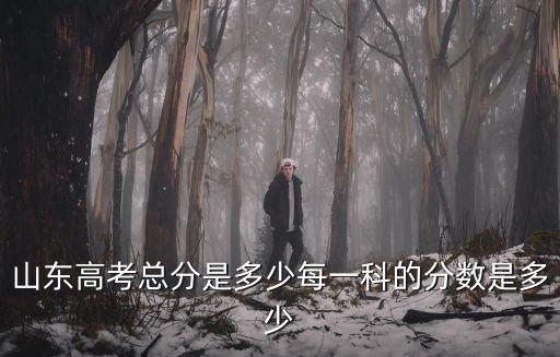 山東高考總分是多少每一科的分數是多少