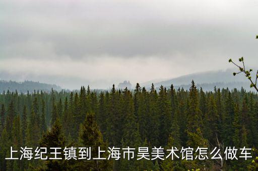 上海紀(jì)王鎮(zhèn)到上海市昊美術(shù)館怎么做車(chē)