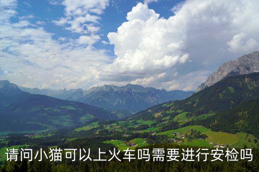請(qǐng)問(wèn)小貓可以上火車(chē)嗎需要進(jìn)行安檢嗎