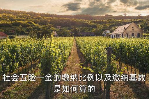 社會五險一金的繳納比例以及繳納基數是如何算的