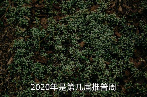 2020年是第幾屆推普周