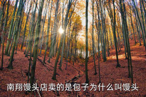 南翔饅頭店賣的是包子為什么叫饅頭