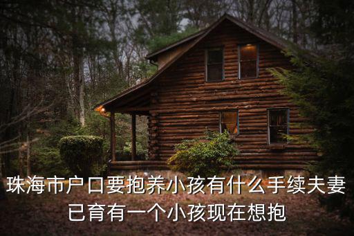 珠海市戶口要抱養小孩有什么手續夫妻已育有一個小孩現在想抱