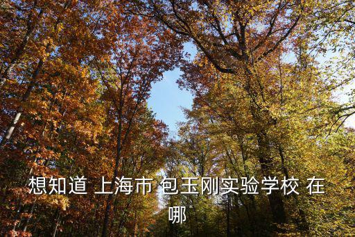 想知道 上海市 包玉剛實驗學校 在哪