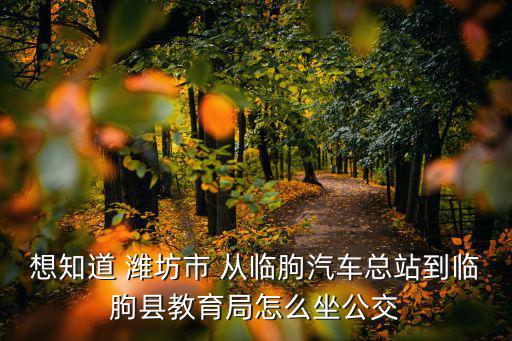 臨朐縣教育局，濰坊市臨朐縣教育局在編考試何時報名網(wǎng)址是什么
