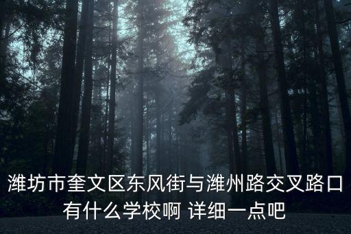濰坊市奎文區(qū)東風(fēng)街與濰州路交叉路口有什么學(xué)校啊 詳細(xì)一點(diǎn)吧