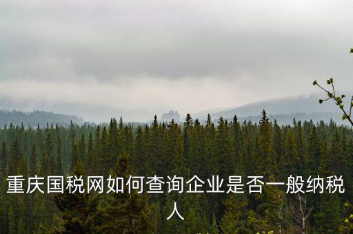 一般納稅人查詢網(wǎng)，一般納稅人查詢網(wǎng)上納稅記錄