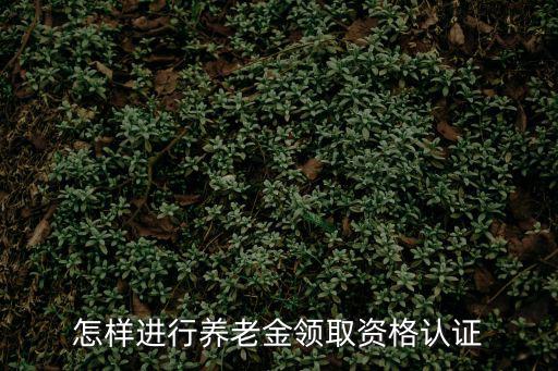 怎樣進行養老金領取資格認證