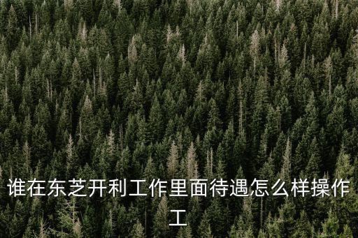 東芝開利，誰在東芝開利工作里面待遇怎么樣操作工